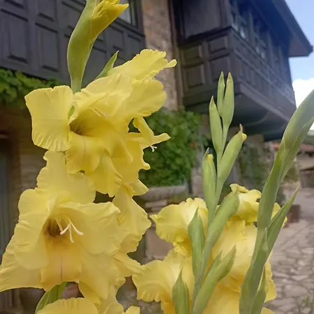 Casa De Aldea El Torrexon *