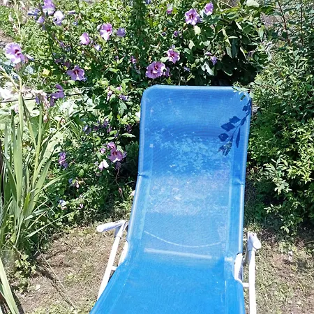 Casa De Aldea El Torrexon * Villamorey