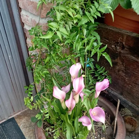 Casa De Aldea El Torrexon Landsted *