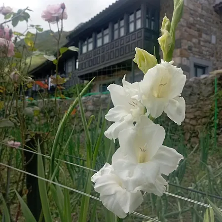 Casa De Aldea El Torrexon Villamorey