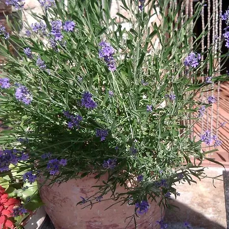 Casa De Aldea El Torrexon Villamorey