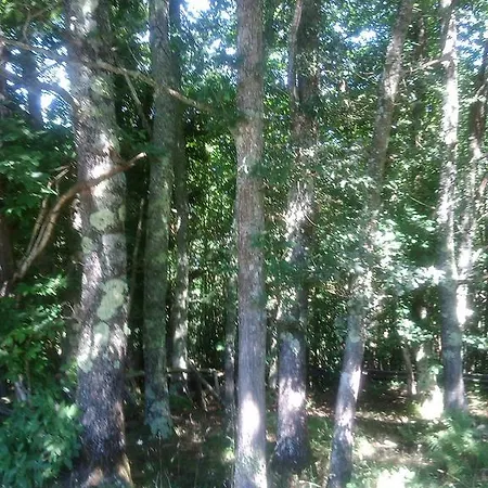 Casa De Aldea El Torrexon